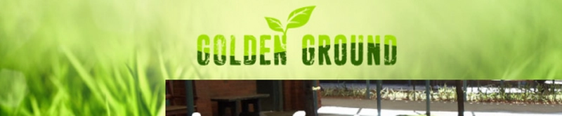 Tunnusgraafika disain veebilehele