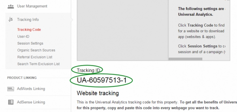 Liida Google Analytics enda kodulehega