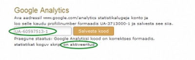 Liida Google Analytics enda kodulehega