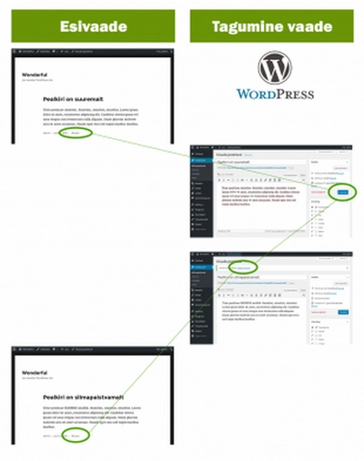 Vrdlustest: milline sisuhaldusssteem on parim